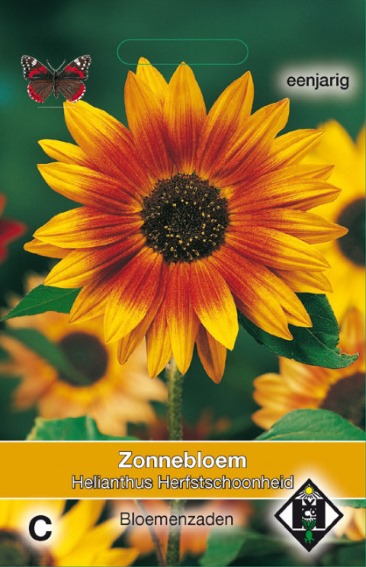Sunflower Autumn Beauty (Helianthus) 60 seeds HE